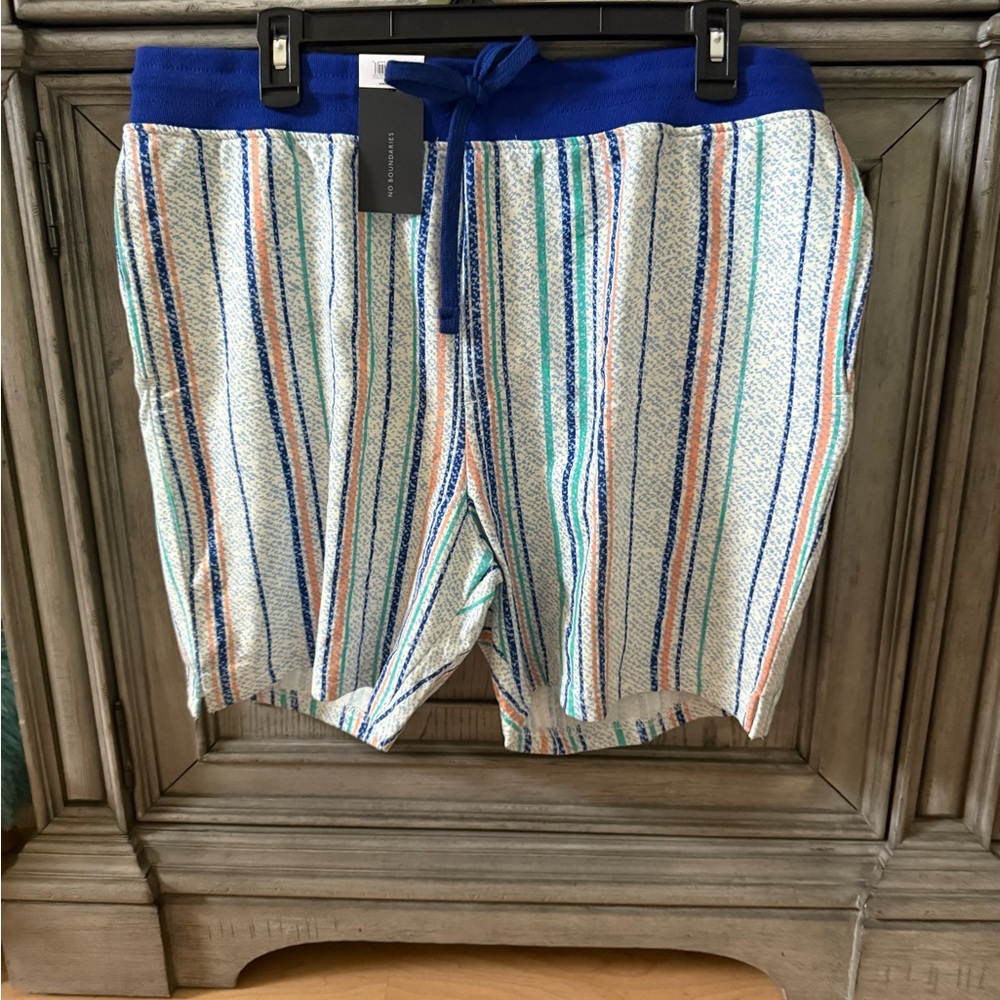 Striped Blue Swim Shorts